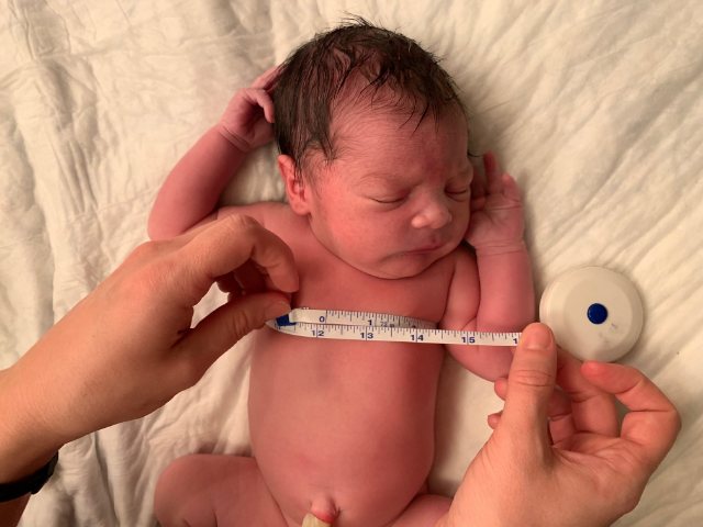 Measuring a newborn's chest during midwifery care